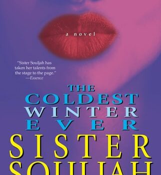 Ebook The Coldest Winter Ever: A Novel cheap pdf