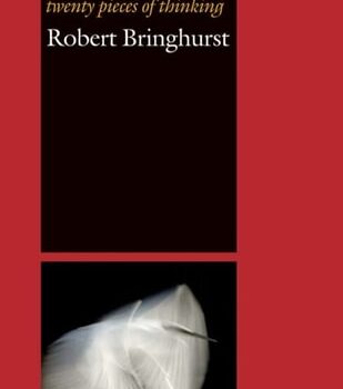 Ebook Everywhere Being Is Dancing: Twenty Pieces of Thinking cheap pdf