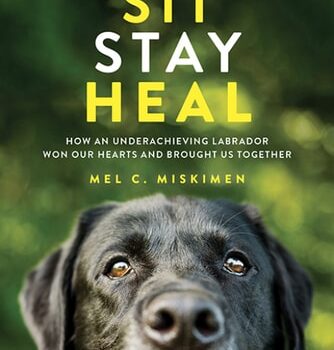 Ebook Sit Stay Heal: How an Underachieving Labrador Won Our Hearts and Brought Us Together cheap pdf