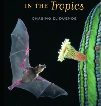 Ebook A Bat Man in the Tropics: Chasing El Duende (Organisms and Environments Book 7) cheap pdf