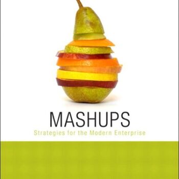 Ebook Mashups: Strategies for the Modern Enterprise cheap pdf