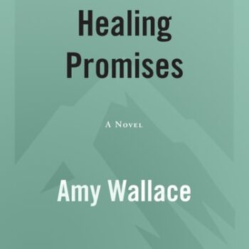 Ebook Healing Promises (Defenders of Hope Book 2) cheap pdf