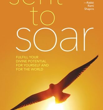 Ebook Sent to Soar: Fulfilling Your Divine Potential for Yourself and for the World cheap pdf