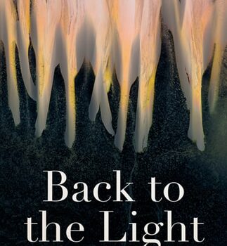 Ebook Back to the Light: Poems cheap pdf
