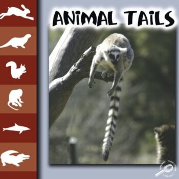 Ebook Animal Tails cheap pdf
