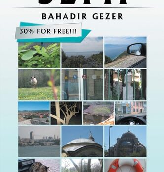 Ebook Semi cheap pdf