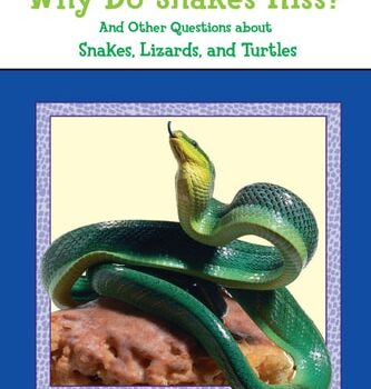 Ebook Why Do Snakes Hiss? cheap pdf