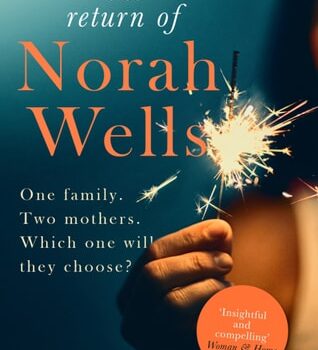 Ebook The Astonishing Return of Norah Wells cheap pdf