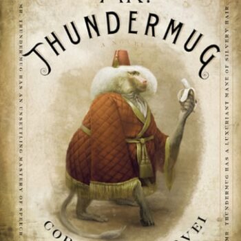 Ebook Mr. Thundermug: A Novel cheap pdf