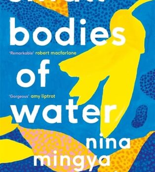 Ebook Small Bodies of Water cheap pdf