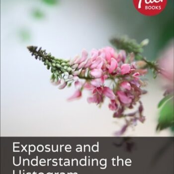 Ebook Exposure and Understanding the Histogram cheap pdf