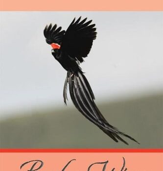 Ebook Broken Wings cheap pdf