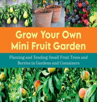 Ebook Grow Your Own Mini Fruit Garden: Planting and Tending Small Fruit Trees and Berries in Gardens and Containers cheap pdf