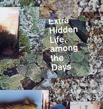 Ebook Extra Hidden Life, among the Days (Wesleyan Poetry Series) cheap pdf