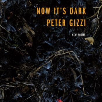 Ebook Now It’s Dark cheap pdf