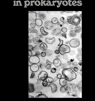 Ebook Ion Transport in Prokaryotes cheap pdf