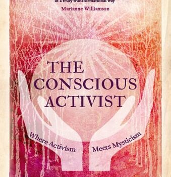 Ebook The Conscious Activist cheap pdf