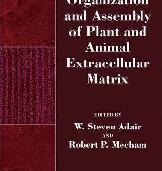 Ebook Organization and Assembly of Plant and Animal Extracellular Matrix (Biology of Extracellular Matrix) cheap pdf