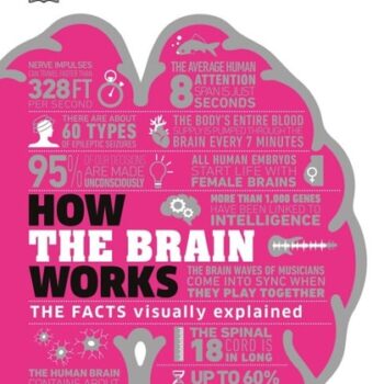 Ebook How the Brain Works cheap pdf
