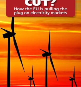 Ebook Power Cut? How the EU Is Pulling the Plug on Electricity Markets (Hobart Paperback) cheap pdf