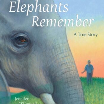 Ebook Elephants Remember cheap pdf