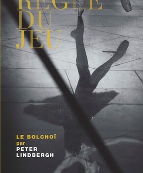 Ebook La règle du jeu n°49 cheap pdf