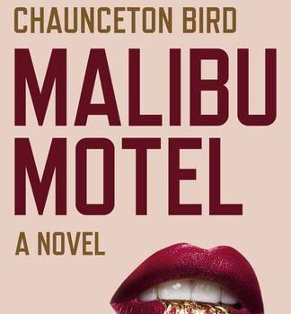 Ebook Malibu Motel: A novel about the colossal cost of free cash cheap pdf