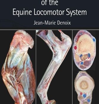 Ebook Essentials of Clinical Anatomy of the Equine Locomotor System cheap pdf