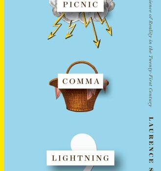 Ebook Picnic Comma Lightning: The Experience of Reality in the Twenty-First Century cheap pdf