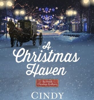 Ebook A Christmas Haven: An Amish Christmas Romance cheap pdf