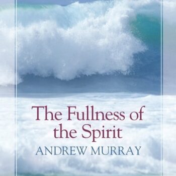 Ebook The Fullness of the Spirit cheap pdf