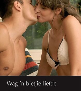 Ebook Wag-‘n-bietjie-liefde cheap pdf