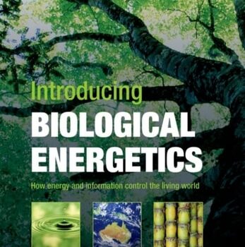 Ebook Introducing Biological Energetics: How Energy and Information Control the Living World cheap pdf