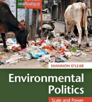 Ebook Environmental Politics cheap pdf