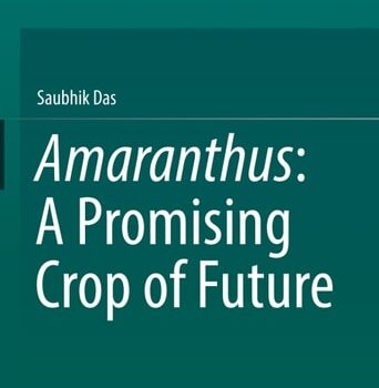 Ebook Amaranthus: A Promising Crop of Future cheap pdf