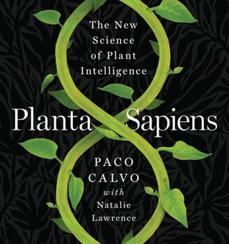 Ebook Planta Sapiens: The New Science of Plant Intelligence cheap pdf