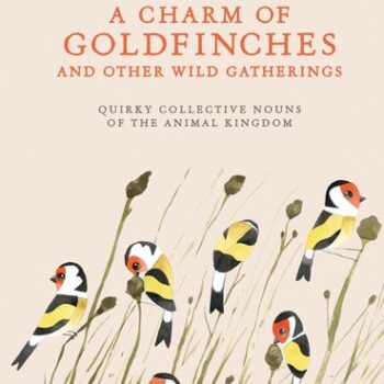 Ebook A Charm of Goldfinches and Other Wild Gatherings: Quirky Collective Nouns of the Animal Kingdom cheap pdf