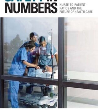 Ebook Safety in Numbers cheap pdf Ebook Safety in Numbers cheap pdf