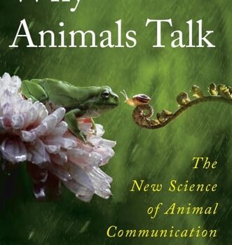 Ebook Why Animals Talk cheap pdf