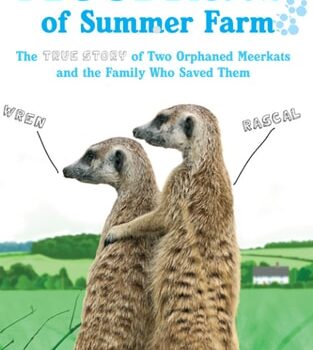 Ebook The Meerkats Of Summer Farm: The True Story of Two Orphaned Meerkats and the Family Who Saved Them cheap pdf