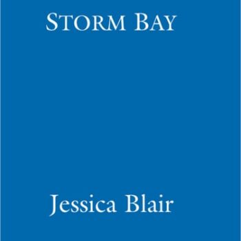 Ebook Storm Bay cheap pdf