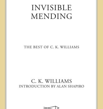 Ebook Invisible Mending cheap pdf