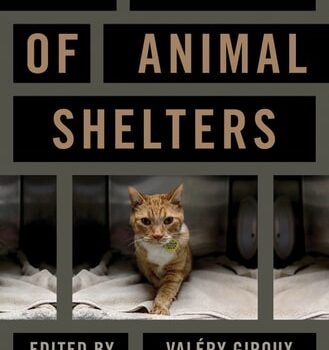 Ebook The Ethics of Animal Shelters cheap pdf